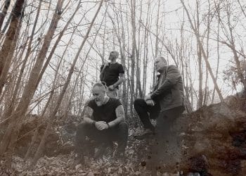 ETERNAL WHITE TREES firmano per My Kingdom Music