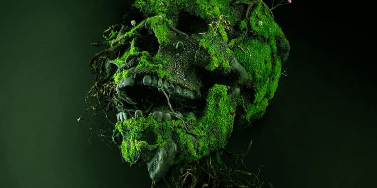 BLACK PAISLEY – Human Nature