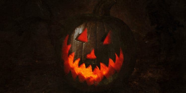 THE BLACKWALL – The blackwall