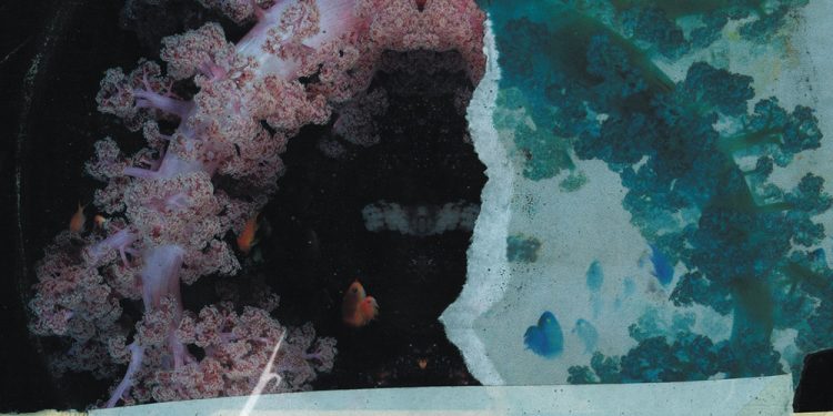 DREARINESS – Before we vanish