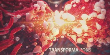 EXTINGUISH THE SUN – Transformation