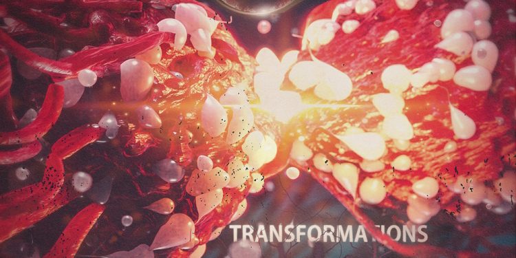 EXTINGUISH THE SUN – Transformation