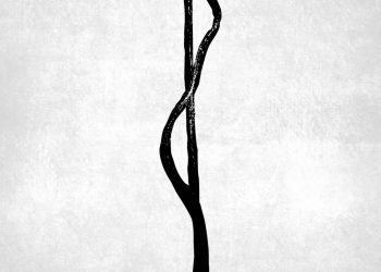 ELLIS MANO BAND – Live: Access All Areas