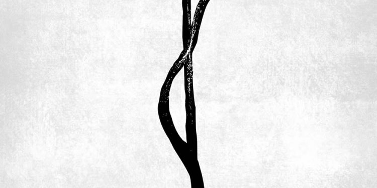 ELLIS MANO BAND – Live: Access All Areas