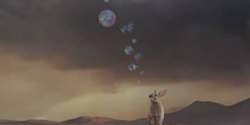 A CIRCUS – A Circus
