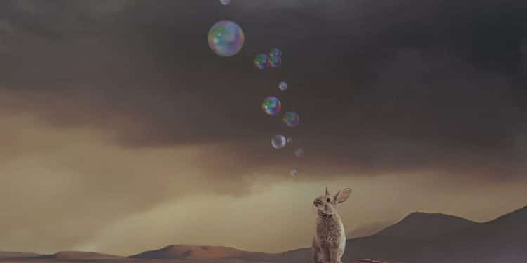 A CIRCUS – A Circus