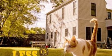 THE INSPECTOR CLUZO – Less Is More