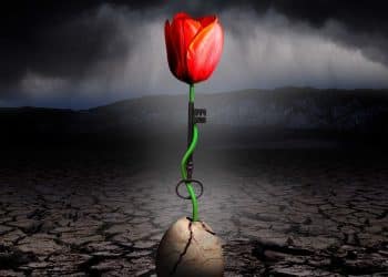 SPOCK’S BEARD – The Archaeoptimist