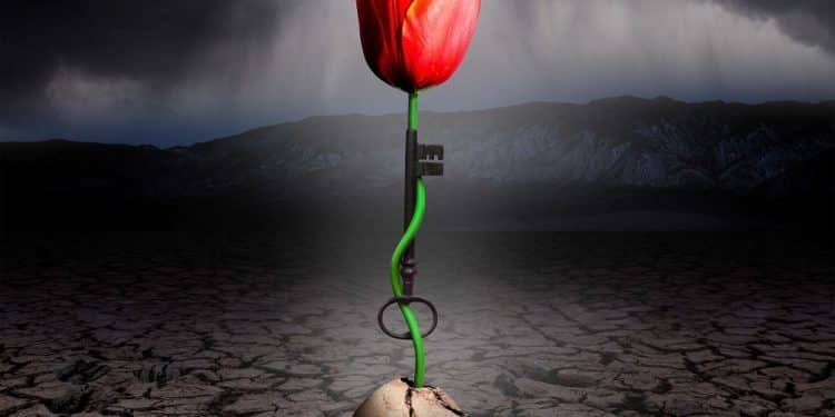 SPOCK’S BEARD – The Archaeoptimist