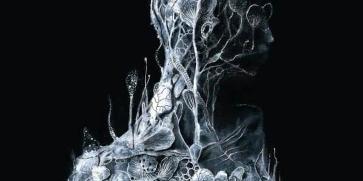 SOEN – Reliance