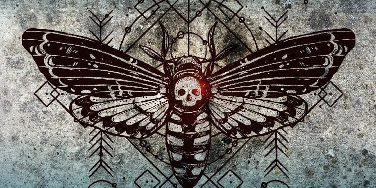 PAVIC – Live To Thrive