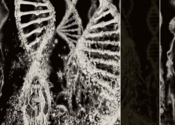 CORONER – Dissonance Theory