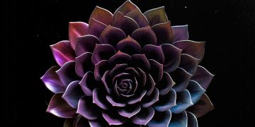 HOLLOW PEAK – Obsidian Cult