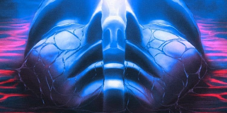 SYLOSIS – The New Flesh